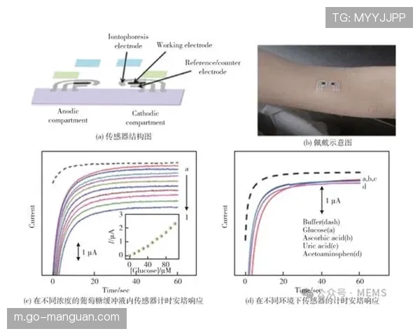 可穿戴设备集成健康监测 生成个人运动数据报告