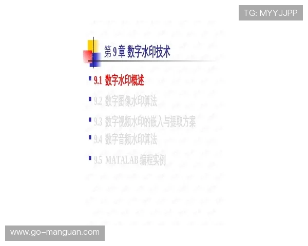 数字水印技术强化体育内容版权追踪能力